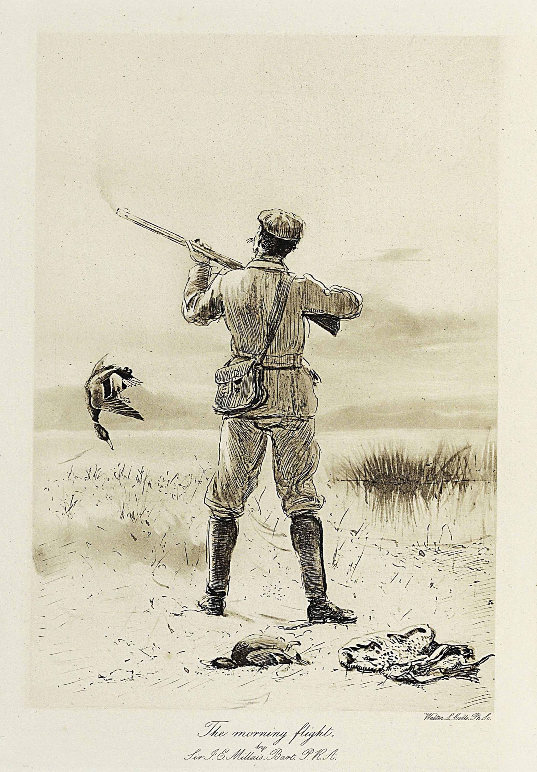 MILLAIS, J.G. The wildfowler in Scotland. London