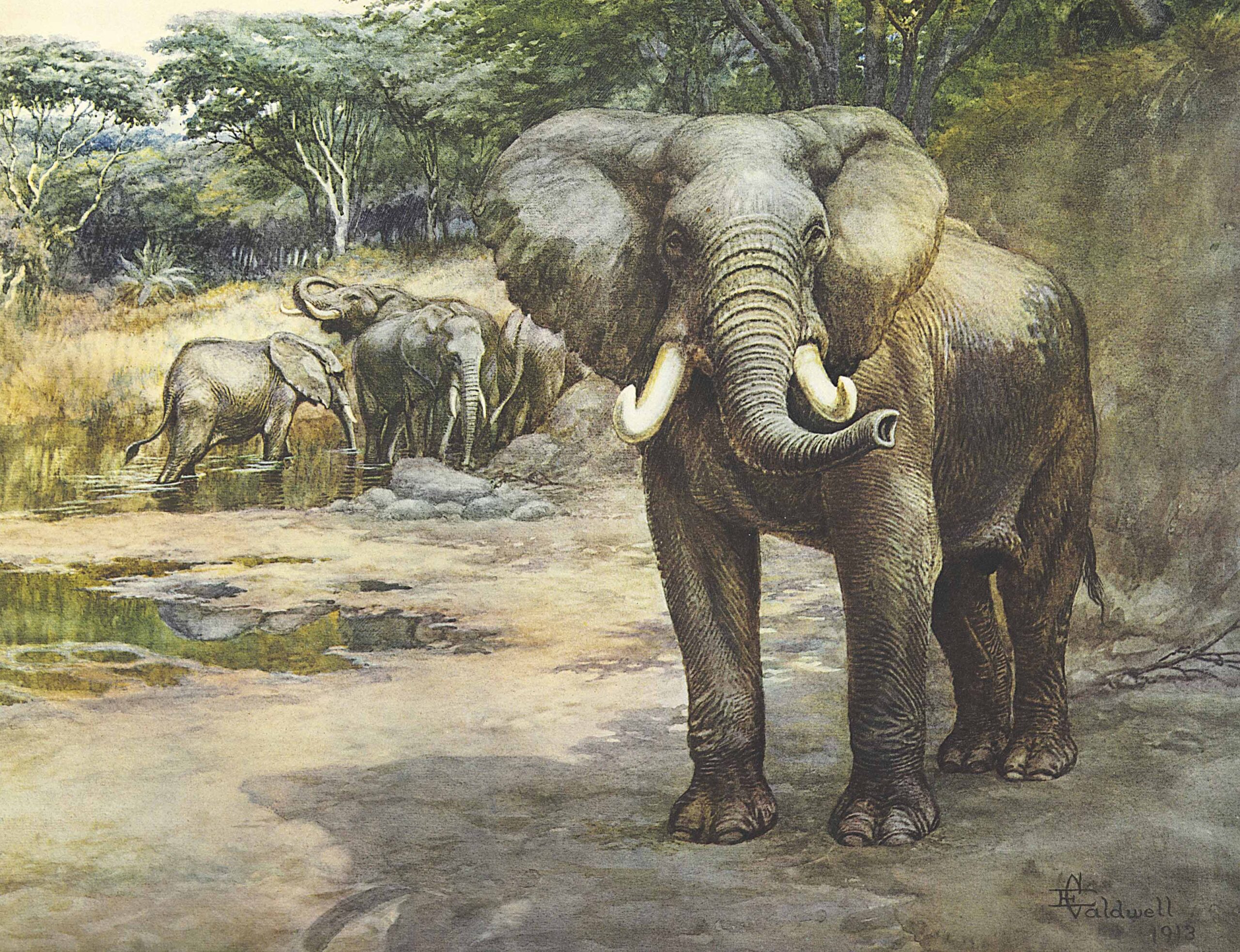 The Gun at Home and Abroad. London: The London & Counties Press Association Ltd., 1912-1915.